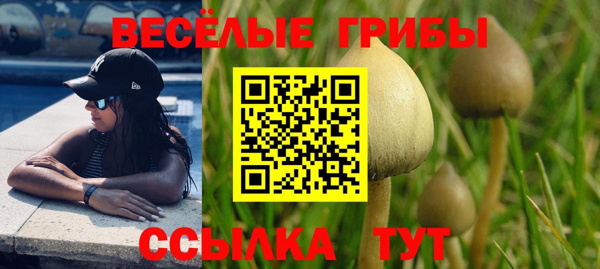 Галлюциногенные грибы Cubensis  Вход с VPN  Лянтор 